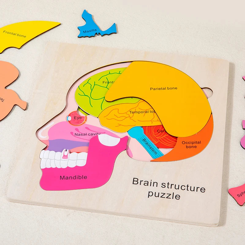 Montessori Puzzles Busy Board Human Body Teaching Learning Body Parts For Children Early Education Games Toddlers Quiet Books