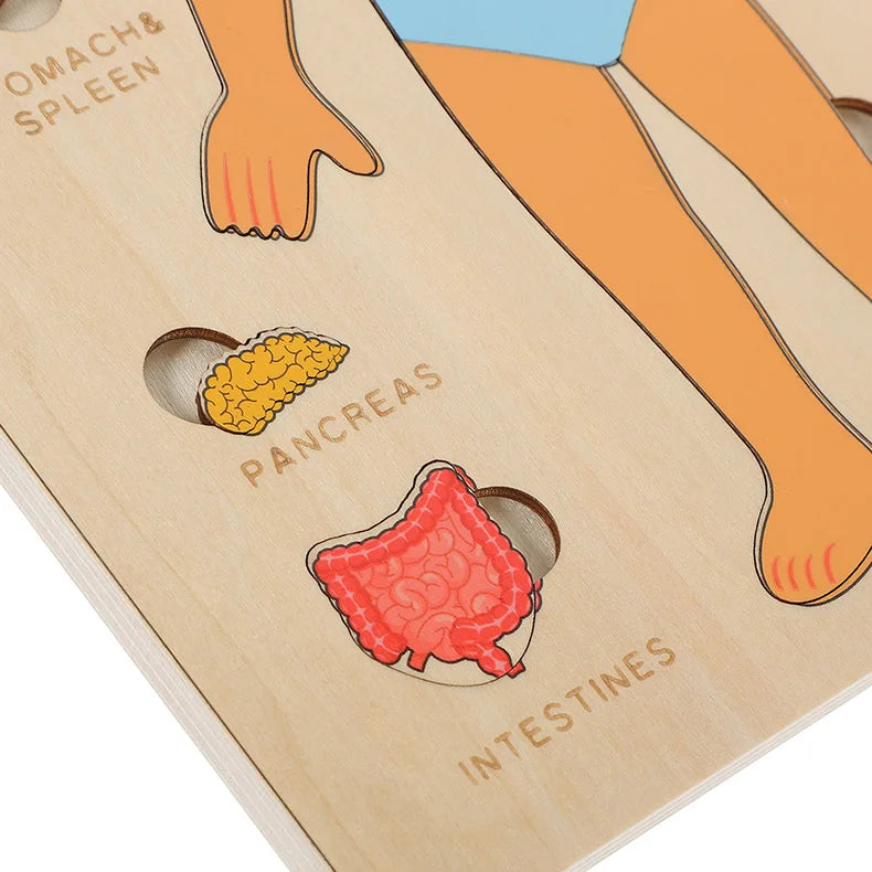 Montessori Puzzles Busy Board Human Body Teaching Learning Body Parts For Children Early Education Games Toddlers Quiet Books