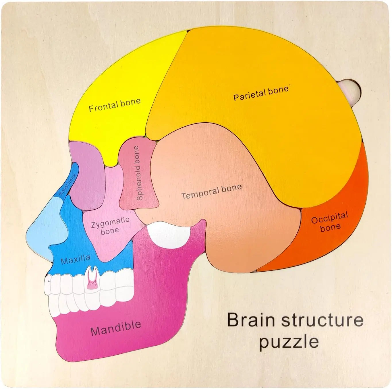 Montessori Puzzles Busy Board Human Body Teaching Learning Body Parts For Children Early Education Games Toddlers Quiet Books